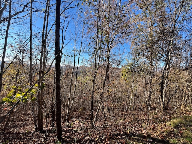414243 Ridges Overlook, Hayesville, NC 28904