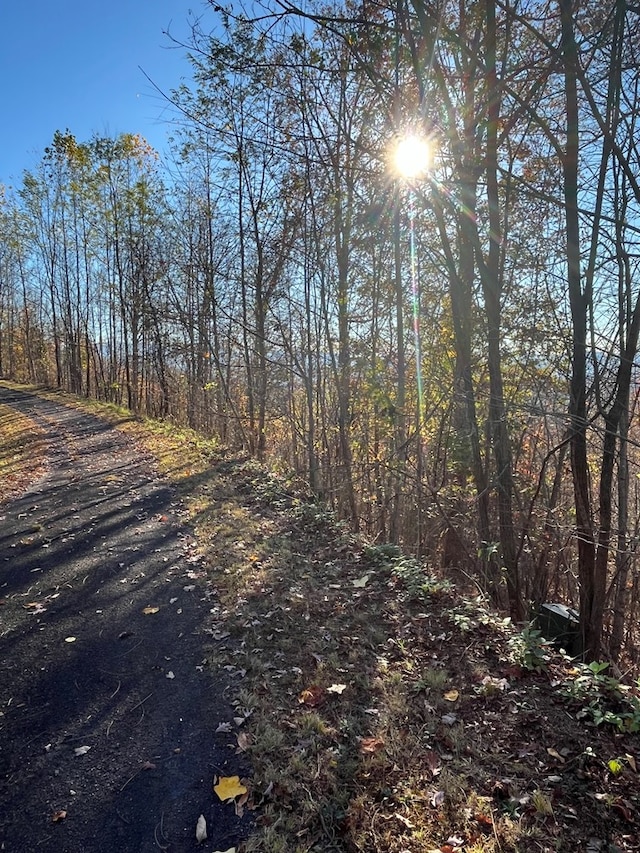 414243 Ridges Overlook, Hayesville, NC 28904