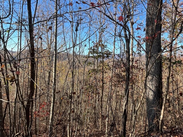 414243 Ridges Overlook, Hayesville, NC 28904