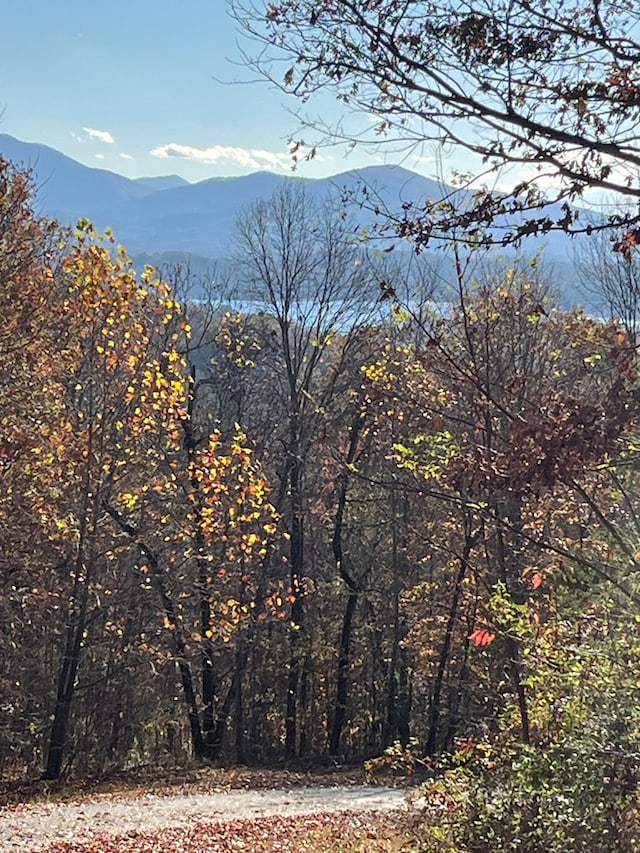 414243 Ridges Overlook, Hayesville, NC 28904