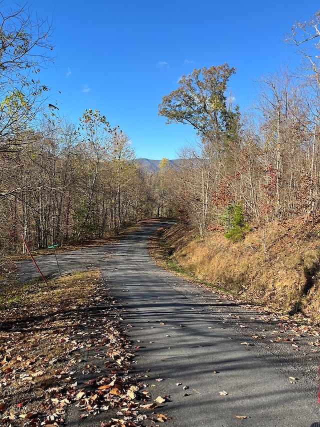 Listing photo 2 for 414243 Ridges Overlook, Hayesville NC 28904