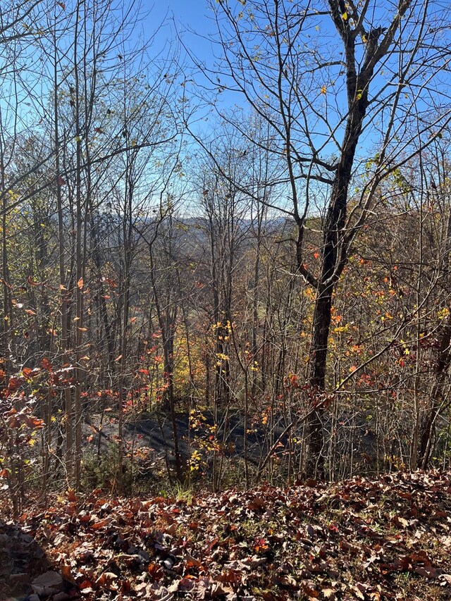 414243 Ridges Overlook, Hayesville, NC 28904