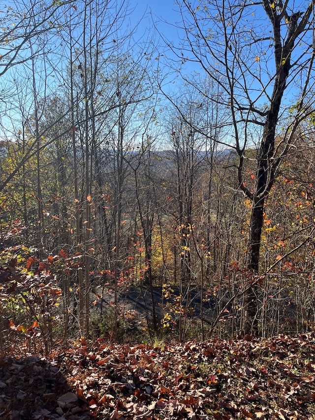 414243 Ridges Overlook, Hayesville, NC 28904