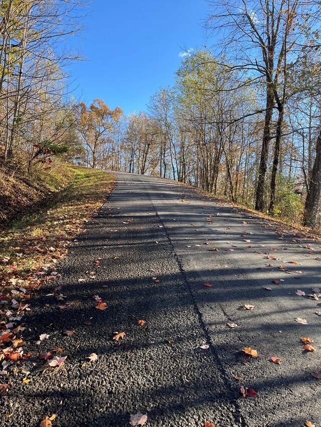 414243 Ridges Overlook, Hayesville, NC 28904