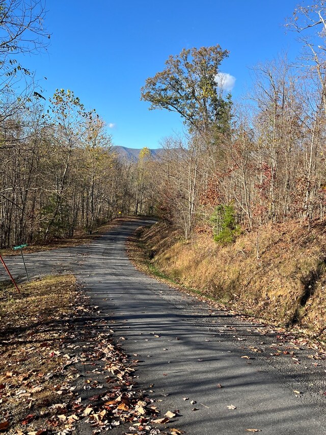 414243 Ridges Overlook, Hayesville, NC 28904
