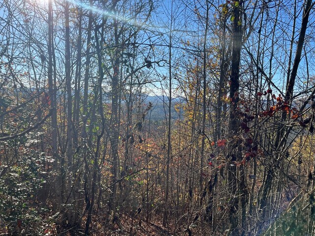 414243 Ridges Overlook, Hayesville, NC 28904