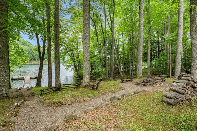 177 Lake Dr, Topton, NC 28781 - view of yard featuring a boat dock and a water view