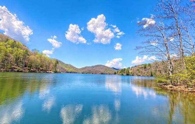 177 Lake Dr, Topton, NC 28781 - water view featuring a forest and mountains