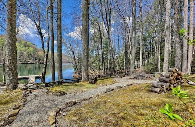 177 Lake Dr, Topton, NC 28781 - view of yard featuring a water view and a boat dock