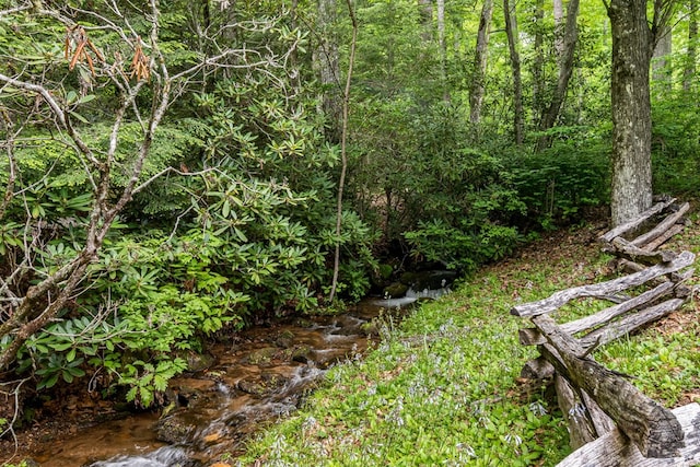 177 Lake Dr, Topton, NC 28781 - view of yard