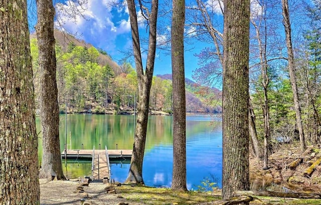 177 Lake Dr, Topton, NC 28781 - water view with a floating dock and a forest