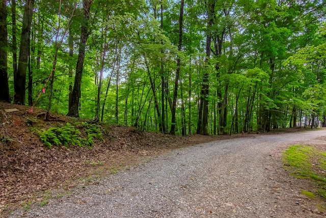 LTJ349 Walnut Mtn, Ellijay GA, 30540 land for sale