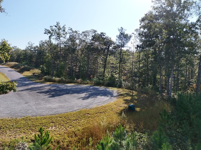 Listing photo 2 for LOT54 High River Lndg, Ellijay GA 30540