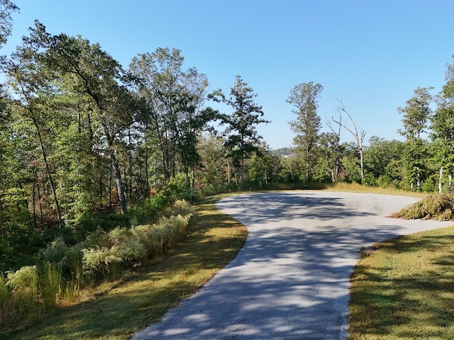 Listing photo 3 for LOT54 High River Lndg, Ellijay GA 30540