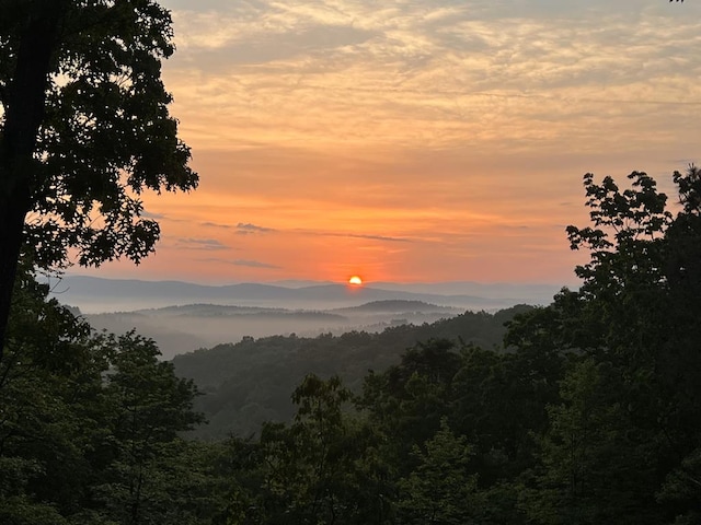 1363 NE Foxhound Trl, Ranger, GA 30734 - view of mountain backdrop with a forest