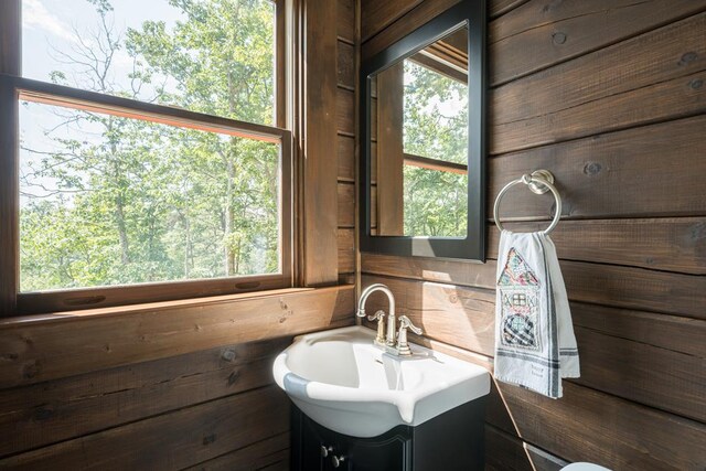 bathroom featuring vanity and wooden walls