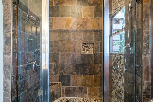 bathroom featuring walk in shower and plenty of natural light