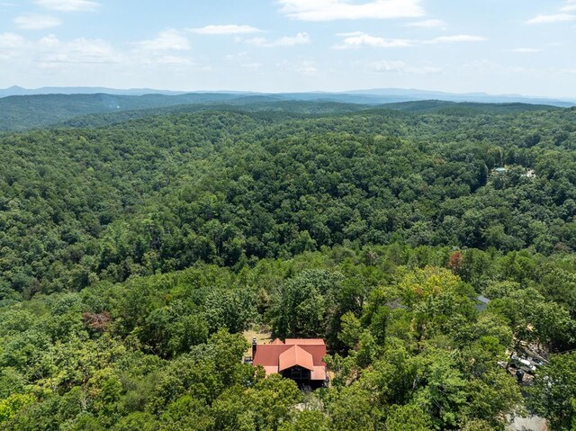 drone / aerial view with a mountain view