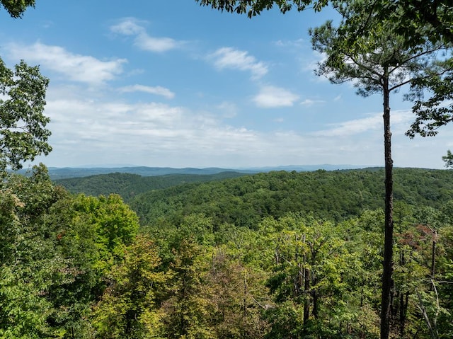1363 NE Foxhound Trl, Ranger, GA 30734 - view of mountain backdrop featuring a heavily wooded area
