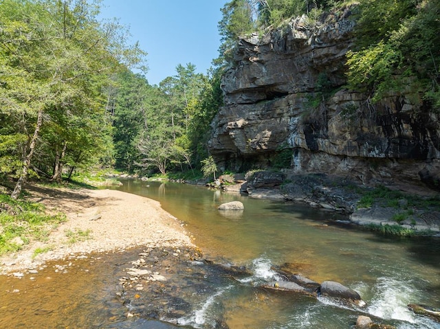 1363 NE Foxhound Trl, Ranger, GA 30734 - water view with a heavily wooded area