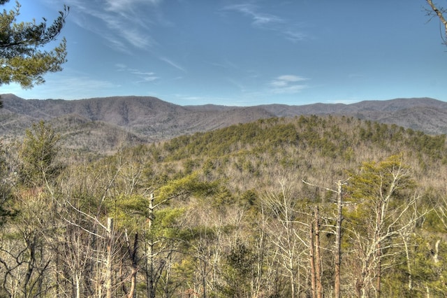 view of mountain feature