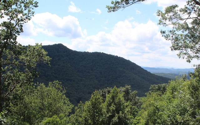 133 Shiloh Rdg, Hayesville NC, 28904 land for sale