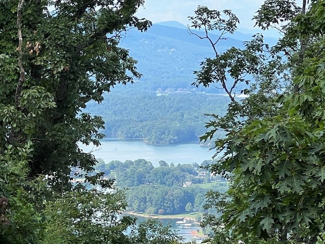 LOT73M Ridges Overlook, Hayesville NC, 28904 land for sale