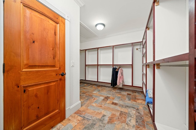 705 Brown Deer Dr, Talking Rock, GA 30175 - spacious closet featuring stone tile floors and attic access