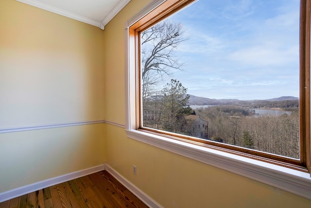 interior space with a mountain view, hardwood / wood-style floors, and crown molding