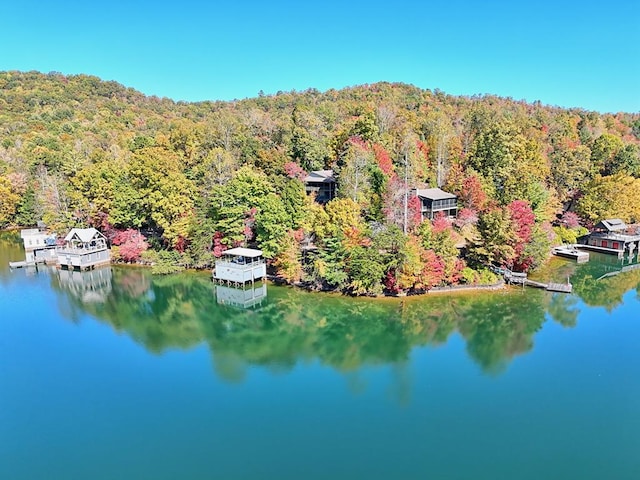 birds eye view of property featuring a water view and a view of trees