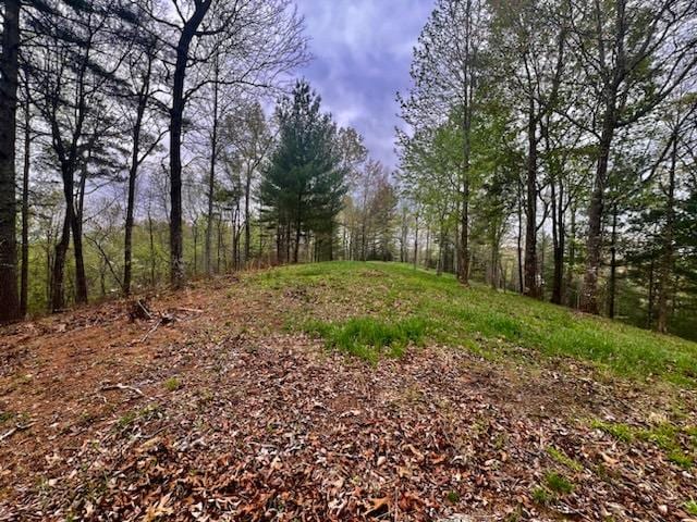 TR1-23 Majestic Mountain Trl, Murphy NC, 28906 land for sale