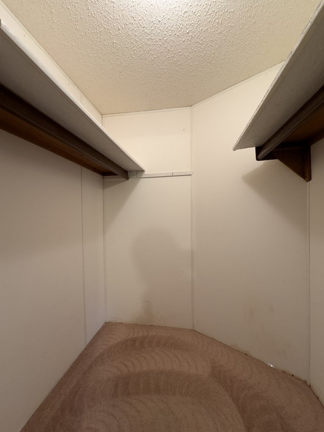 1146 Marrestop Rd, Murphy, NC 28906 - spacious closet featuring carpet floors