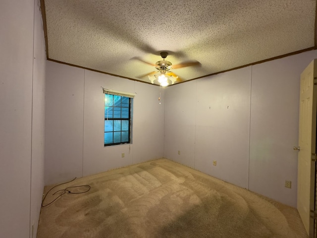 1146 Marrestop Rd, Murphy, NC 28906 - spare room with crown molding, ceiling fan, carpet flooring, and a textured ceiling