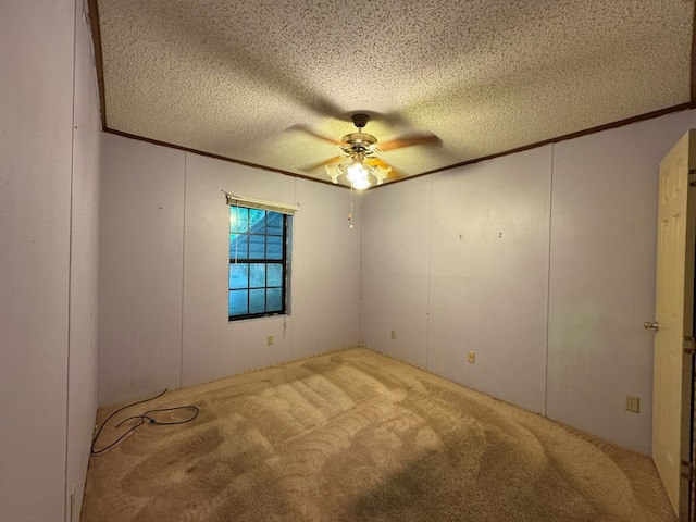 1146 Marrestop Rd, Murphy, NC 28906 - carpeted spare room featuring ornamental molding, ceiling fan, and a textured ceiling