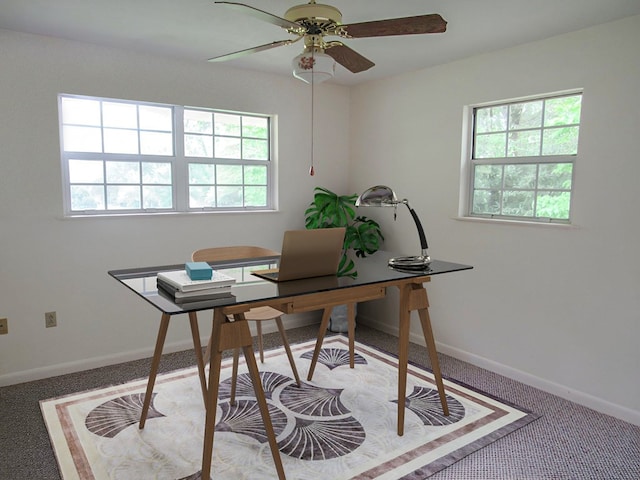 138 Brittain Trce, Andrews, NC 28901 - home office with plenty of natural light, baseboards, a ceiling fan, and carpet flooring