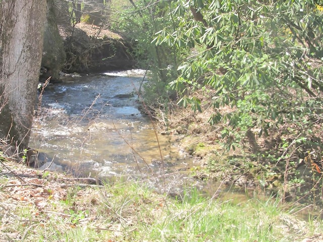 138 Brittain Trce, Andrews, NC 28901 - view of undeveloped land