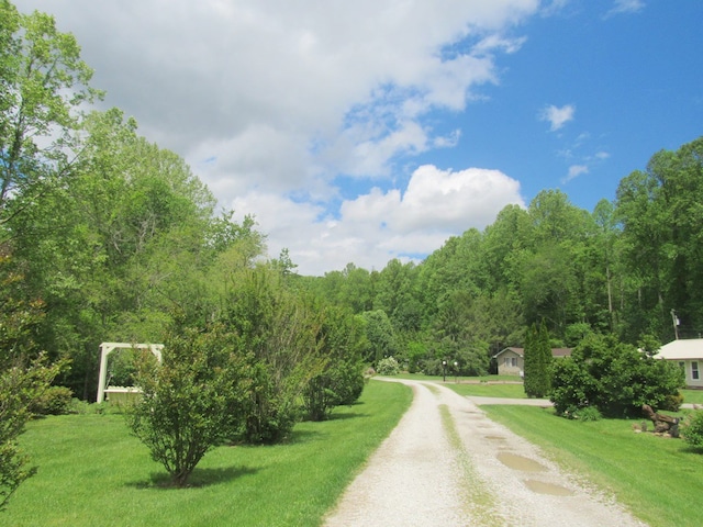138 Brittain Trce, Andrews, NC 28901 - view of dirt / gravel driveway with a forest view