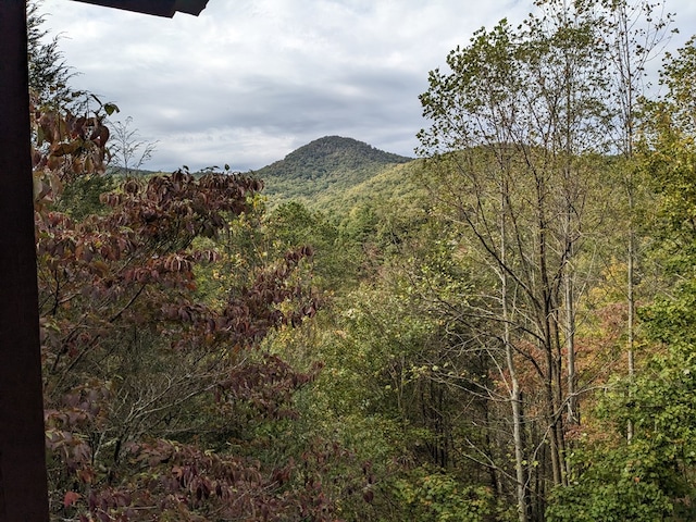 Listing photo 2 for 1702 Sheep Cliff Rd, Hiawassee GA 30546