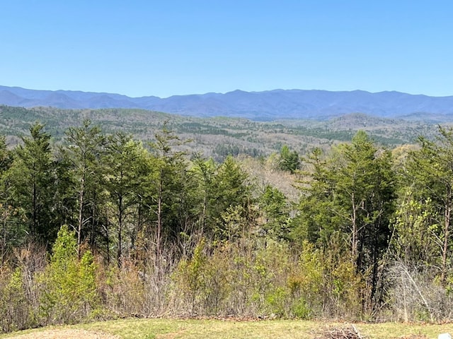 property view of mountains featuring a view of trees