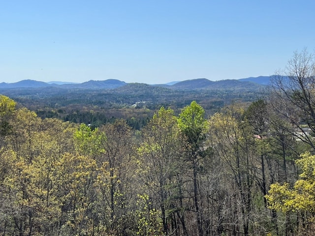 view of mountain feature featuring a wooded view