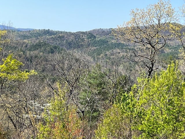mountain view with a wooded view