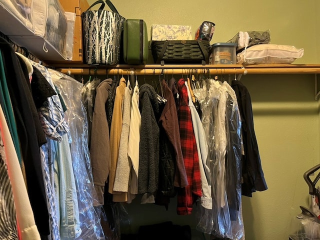 view of spacious closet