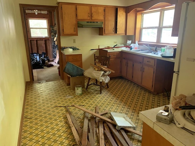 kitchen with light carpet, white refrigerator, plenty of natural light, and sink