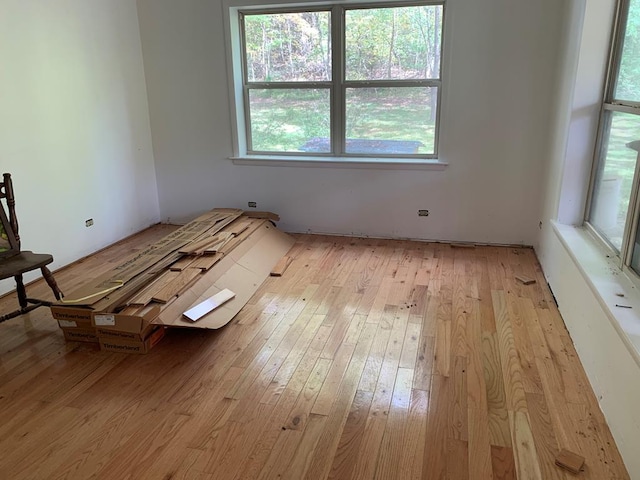 empty room featuring light hardwood / wood-style floors