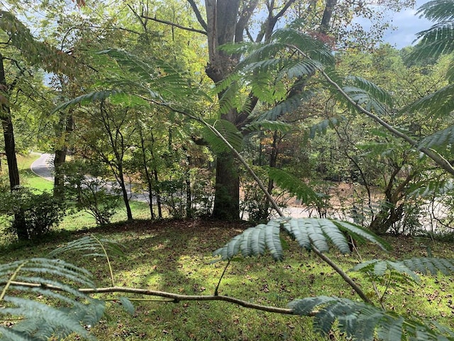 view of landscape