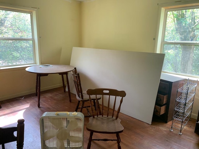 sitting room with a healthy amount of sunlight and hardwood / wood-style flooring