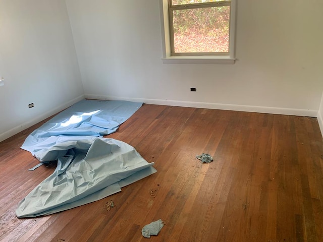 empty room featuring wood-type flooring