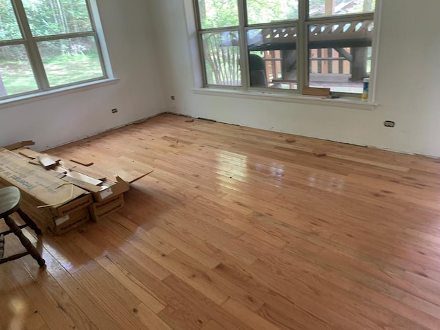 interior space with light hardwood / wood-style flooring