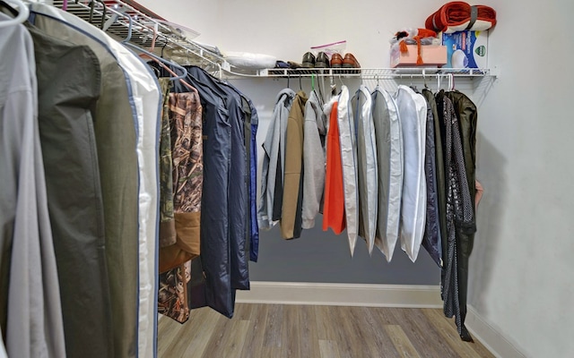 walk in closet featuring wood-type flooring