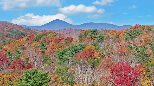 view of mountain feature